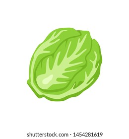 Cabbage icon. Vector illustration of cabbage isolated on white background