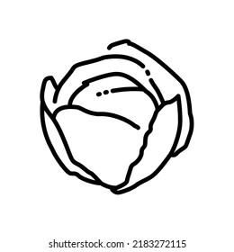 Cabbage icon vector illustration in outline style. Vegetable sign