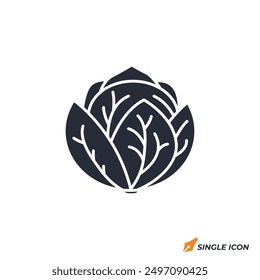 Cabbage icon vector illustration. Cabbage symbol isolated on white background