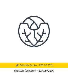 Cabbage Icon / Vector - In Line / Stroke Design