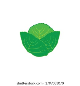 cabbage icon vector symbol isolated illustration white background