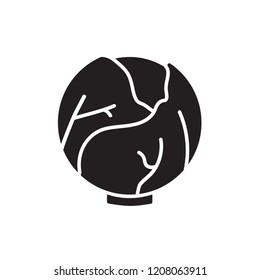 cabbage icon vector. vegetable icon glyph style