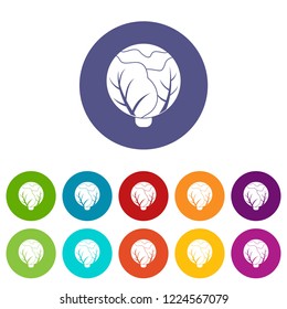 Cabbage icons color set vector for any web design on white background