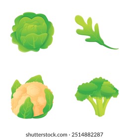 Ícones de repolho definem o vetor de desenhos animados. Couve-flor, brócolis e couve-repolho. Vegetais de exploração biológicos