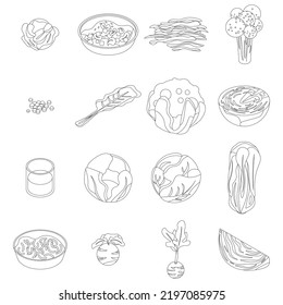 Cabbage icons set. Isometric set of cabbage vector icons outline thin lne isolated on white