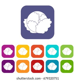 Cabbage icons set vector illustration in flat style In colors red, blue, green and other