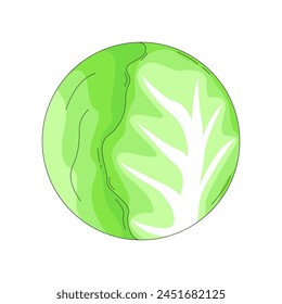 Cabbage Illustration Design, Vector and Graphic Design