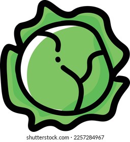 cabbage illustration with flat style