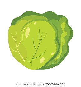 Cabbage illustration. Illustration for greeting cards, printing and other design projects.