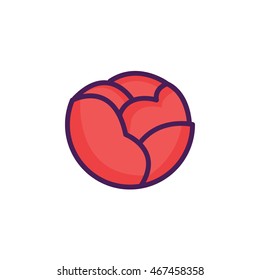 Cabbage Illustration Icon