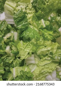 Cabbage illustration vector. Fresh chopped chinese cabbage close up.