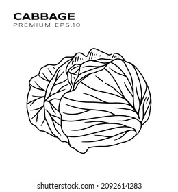 ilustración de col para vector premium vegetariano