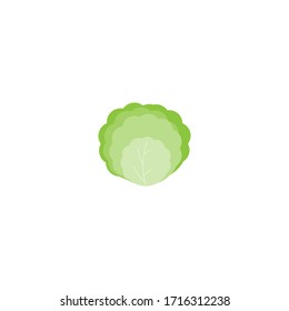 A cabbage isolated on white background. Vector illustration. 