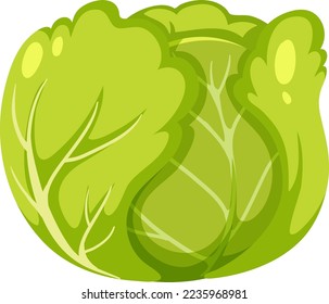 Kohl einzeln auf weißem Hintergrund, Vektorgrafik