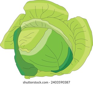 Kohl einzeln auf weißem Hintergrund
