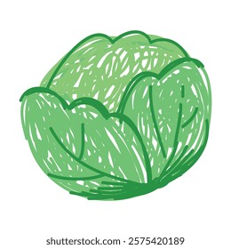 Cabbage as Kids Doodle Simple Hand Drawn Element Vector Illustration