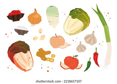 Cabbage kimchi and various kimchi ingredients. Korean traditional food concept vector element illustration collection.