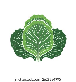 cabbage leaves 2D flat vector illustration icon, isolated on a white background.