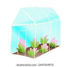 Cabbage or lettuce growing in greenhouse, fresh organic vegetable produce. Horticulture and gardening nursery glass house cartoon. Hand drawn vector clipart illustration in watercolor style.