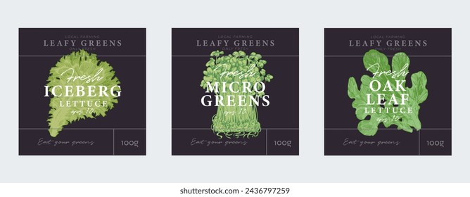 Cabbage and lettuce hand drawn illustrations, modern packaging design, label background templates