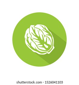 Cabbage or lettuce icon vector. illustration of cabbage or lettuce isolated on green circle. healthy vegetable, nutrition icon