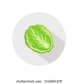 Cabbage or lettuce icon vector. illustration of cabbage or lettuce isolated on grey circle. healthy vegetable, nutrition icon