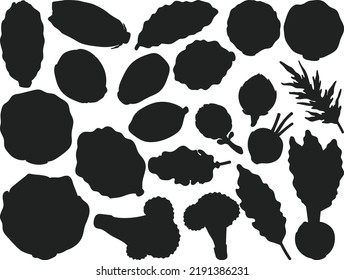 Cabbage lettuce outing Flat isolated Vector Silhouettes
