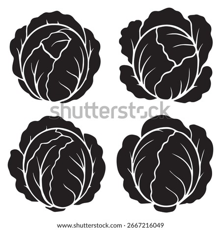 Cabbage and Lettuce Silhouette Vector Illustration Set on White Background