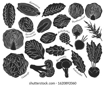 Cabbage of lettuce vector black set icon.Vector illustration set vegetable food. Isolated black icon cabbage of lettuce on white background .