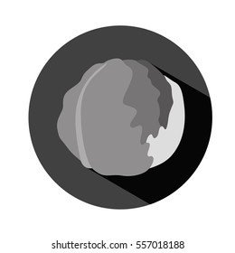 cabbage or lettuce vegetable icon image vector illustration design 