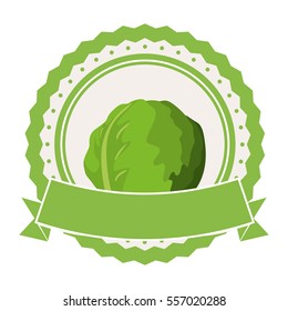 cabbage or lettuce vegetable icon image vector illustration design