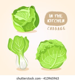 Cabbage and Lettuce : Vegetable Isolated Set : Vector Illustration