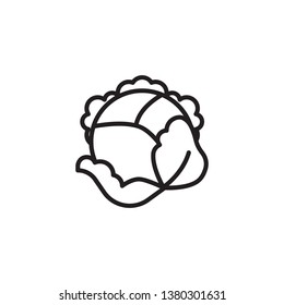 Cabbage line vector icon. Vegetable icon for websites, web design, mobile app.