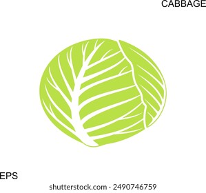 Cabbage logo. Isolated cabbage on white background