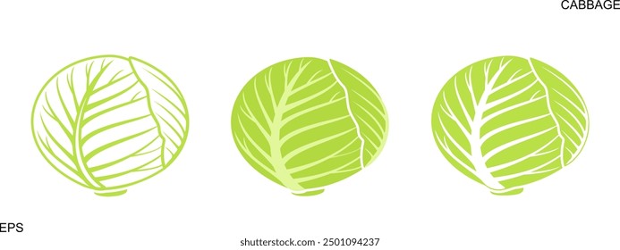 Cabbage logo. Isolated cabbage on white background