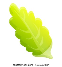 Icono de hoja larga de col. Caricatura de un icono vectorial de hoja larga de col para diseño web aislado en fondo blanco