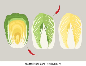 cabbage minimal illustration