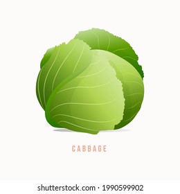 Ilustración vectorial de estilo moderno de Cabbage.