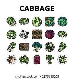 Cabbage Natural Vitamin Food Icons Set Vektor. Gesunde weiße und grüne Kohl-, Brokkoli- und Salatzutaten zum Kochen von Suppen und Salaten. Blumenkraut-Pflanzenfarben-Illustrationen