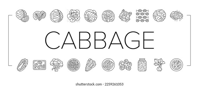 Cabbage Natural Vitamin Food Icons Set Vector. Healthy White And Green Cabbage, Broccoli And Lettuce Ingredient For Cooking Soup And Salad. Cauliflower Vegetable Black Contour Illustrations