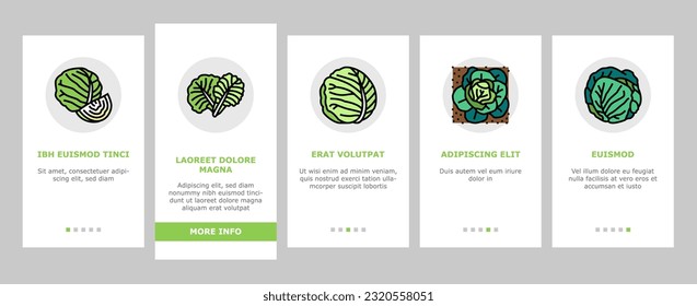 Cabbage Natural Vitamin Food onboarding mobile vector. Healthy White And Green Cabbage, Broccoli And Lettuce Ingredient For Cooking Soup And Salad. Cauliflower Vegetable Color Illustrations