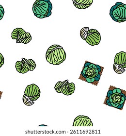 Cabbage Natural Vitamin Food Vector Seamless Pattern Thin Line Illustration
