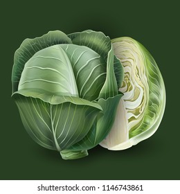 Cabbage on a green background