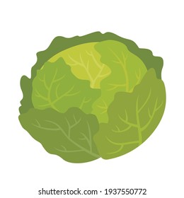 Cabbage On A White Background. Vector, Isolated, Flat Illustration.