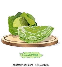 Cabbage on wood deck vector illustration set isolated on white