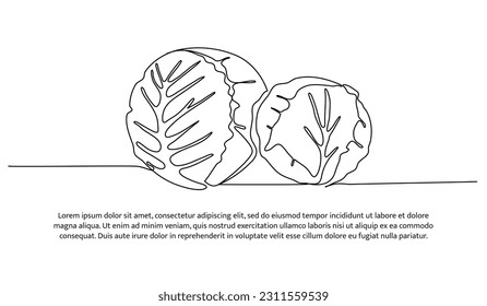 Cabbage one continuous line design. Vegetable symbol design concept. Decorative elements drawn on a white background.