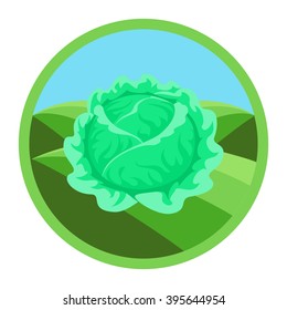  Cabbage. organic vegetables, round vector color badge or sticker