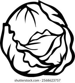 Cabbage outline coloring book page and digital line art