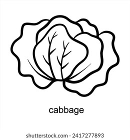 Cabbage Outline Design - For Coloring Book Vector Design Illustration 