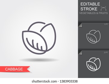 Cabbage. Outline icon with editable stroke. Linear symbol of the food with shadow